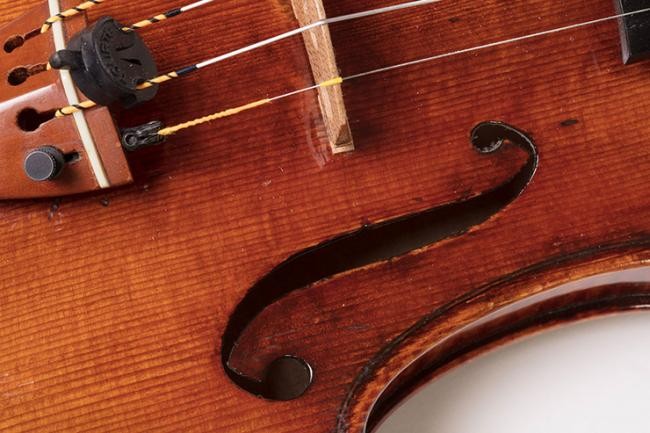 Detailansicht einer Violine(Foto: Buck)