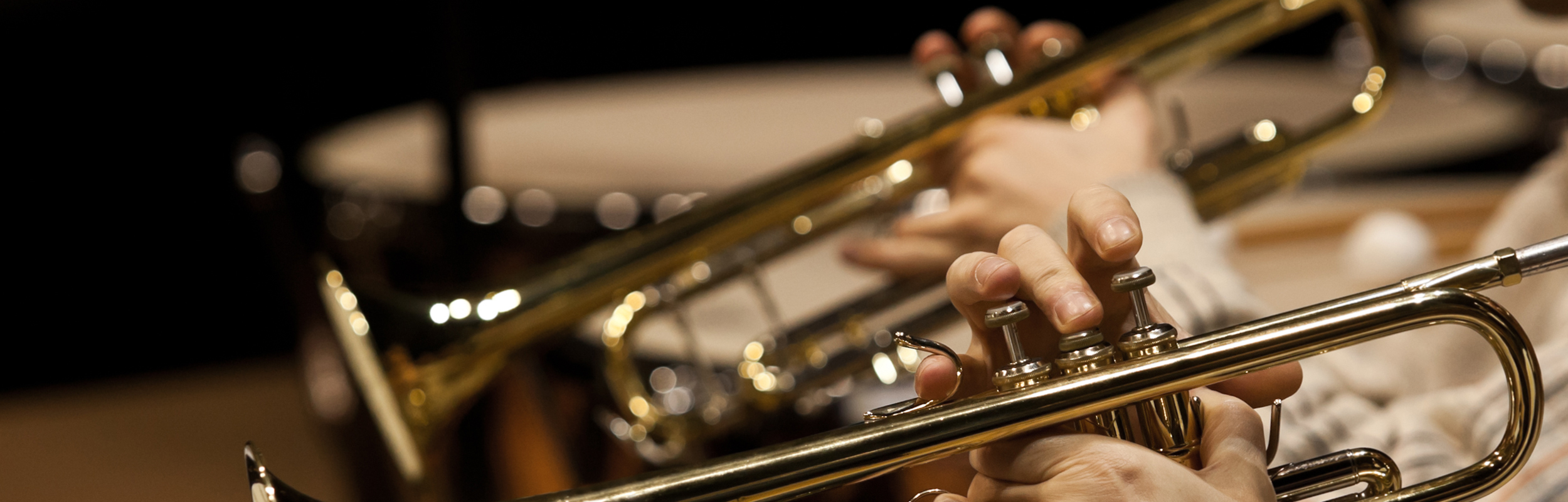 Pauken und Trompeten (Foto: shutterstock/furtseff)